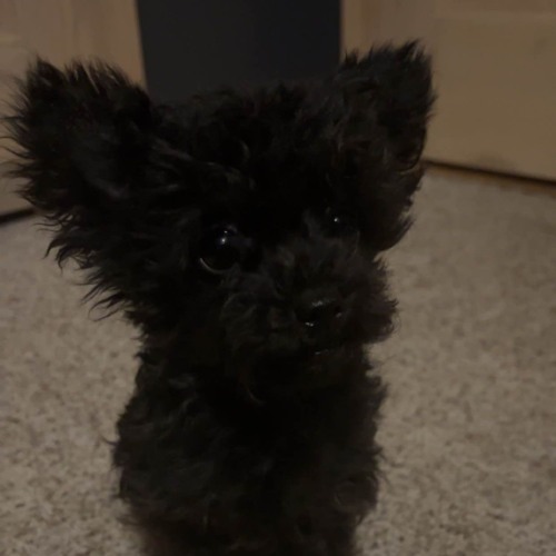 Stream be more by jacari | Listen online for free on SoundCloud