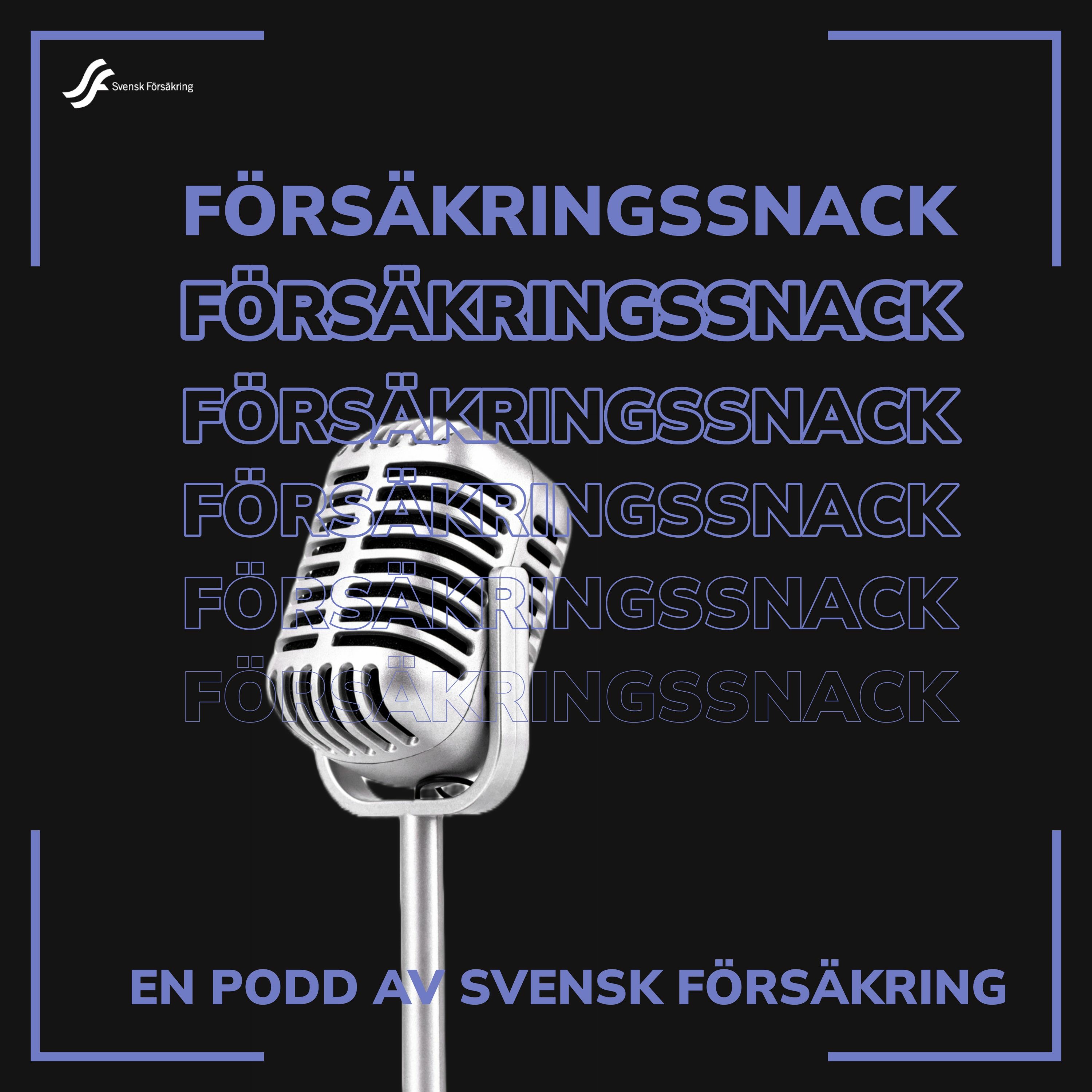 Försäkringssnack