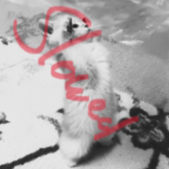 CoNfEsS yOuR lOvE ;)