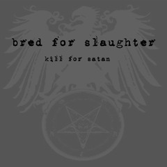 Bred For Slaughter - Rape Kill Conquer