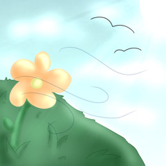 Springs Wonder