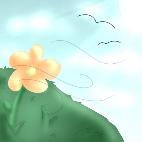 Springs Wonder