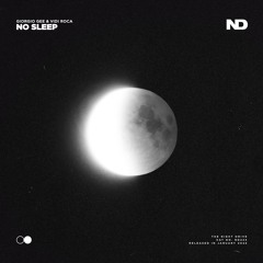 Giorgio Gee & vidi roca - No Sleep
