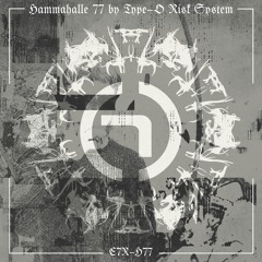 HAMMAHALLE 77 by Type-O Risk System