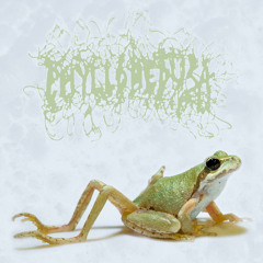 SEVEN LEGGED FREAKS (FULL; harsh frognoise)