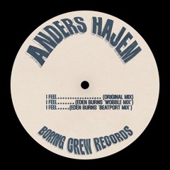 PREMIERE : Anders Hajem - I Feel (Eden Burns Wobble Remix)