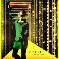 Cybird 9