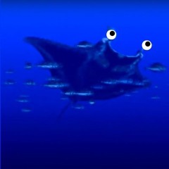 Manta Mobula (PSX MANTA SAMPLE CHALLENGE)