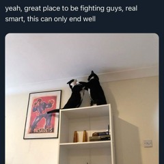 us chatting :3 (im alone in the room)