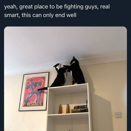 us chatting :3 (im alone in the room)