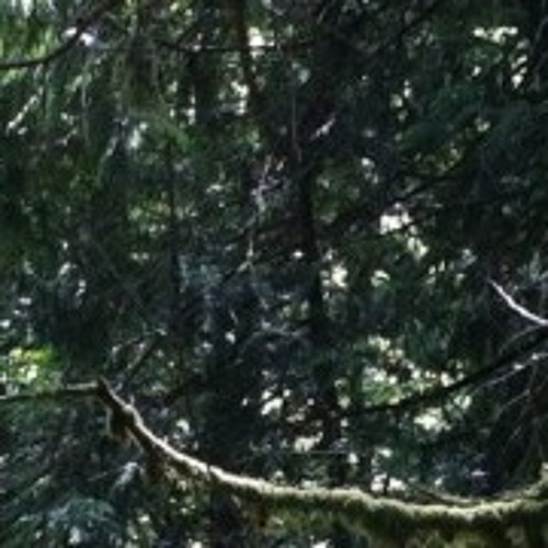 Lillebittebock & Valter - Eksistens (prod Valter)