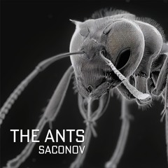 The Ants (1999)