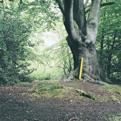 Motion Sickness (Will Saul Remix)