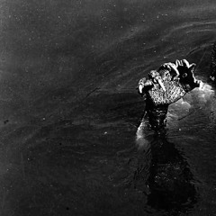 Weather Channel Culture