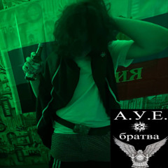 МОЙША ЧИБКАБ (FEAT. 2018)