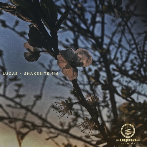 Lucas - Turning Into Light