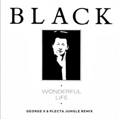 Black - Wonderful Life (George X & Plecta Jungle Remix)