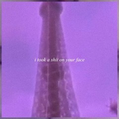 I Took A Shit On Your Face [Lo-Fi]