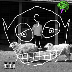 Wolf in a Sheeps Pen