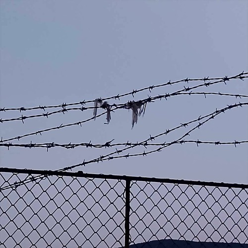 pyrevomit x andorax - Ikikimwrong x(