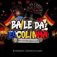 25 MINUTINHOS DE CARNAVAL NO BAILE DO COMPLEXO & ESCOLINHA DO PROF [DJ 2P DO CPX] 2025