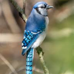 I like Hashbrowns and Pancakes prod. nuri july + eloqwnc3