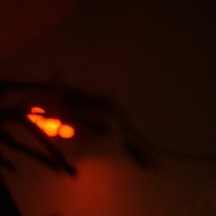 do outro lado do mundo