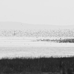 Fraser Delta April 26-27 4 pm to 7 am