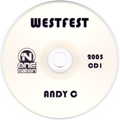Westfest 2005: Andy C