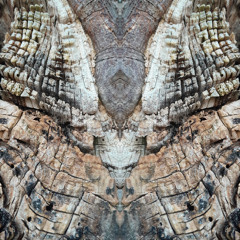 fracture form (extended)