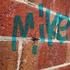 Soldier Fly (demo)
