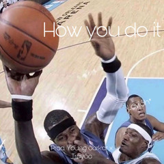 HowYouDoIt (Prod. YoungSarkar x TraySo)