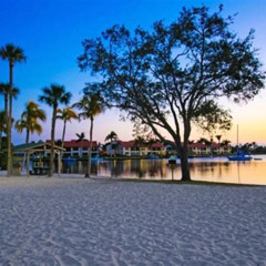 Best Things To Do In Cape Coral Florida Today Tours Reviews