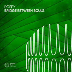 Rospy - Bridge Between Souls