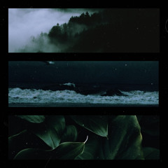 Mist (ft. Beya)