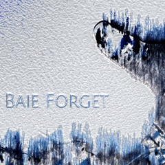 Baie Forget