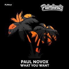 PAUL NOVOX - WHAT YOU WANT [Palmlands Records]