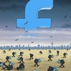 Organoise - Faceboot
