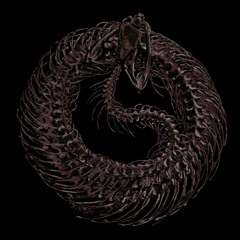 AWARA (instrumental)