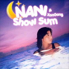 nani show sum (prod. xangang)
