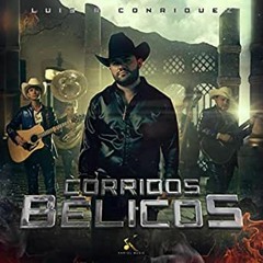 GUITARRAS BELICAS DJ ELA PACHE EN VIVO CORRIDOS VERDES