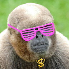 Funkety Monkety