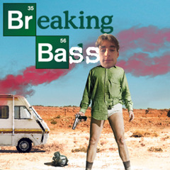 breaking bass (don't fuck with walter)