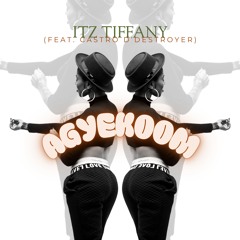 Agyekoom (Feat. Castro D'destroyer)