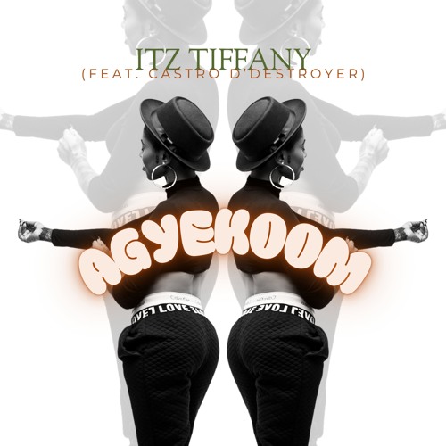 Agyekoom (Feat. Castro D'destroyer)