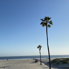 oops i fell in love with you demo