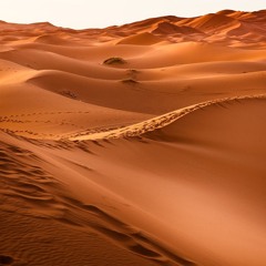Arabian Beat
