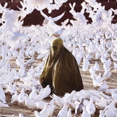 Enasni - NazzyOchetta