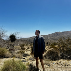 Progressive Pulse House 2025