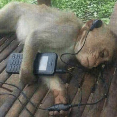 CallBxk/AllTht  +p: æon.+